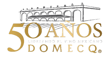 Logo Domeq